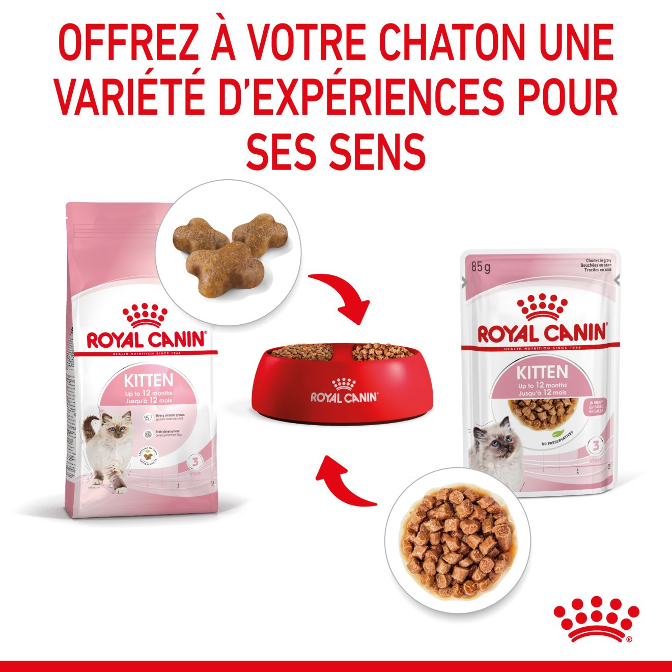 Kitten Sauce - Sachet fraîcheur pour chaton