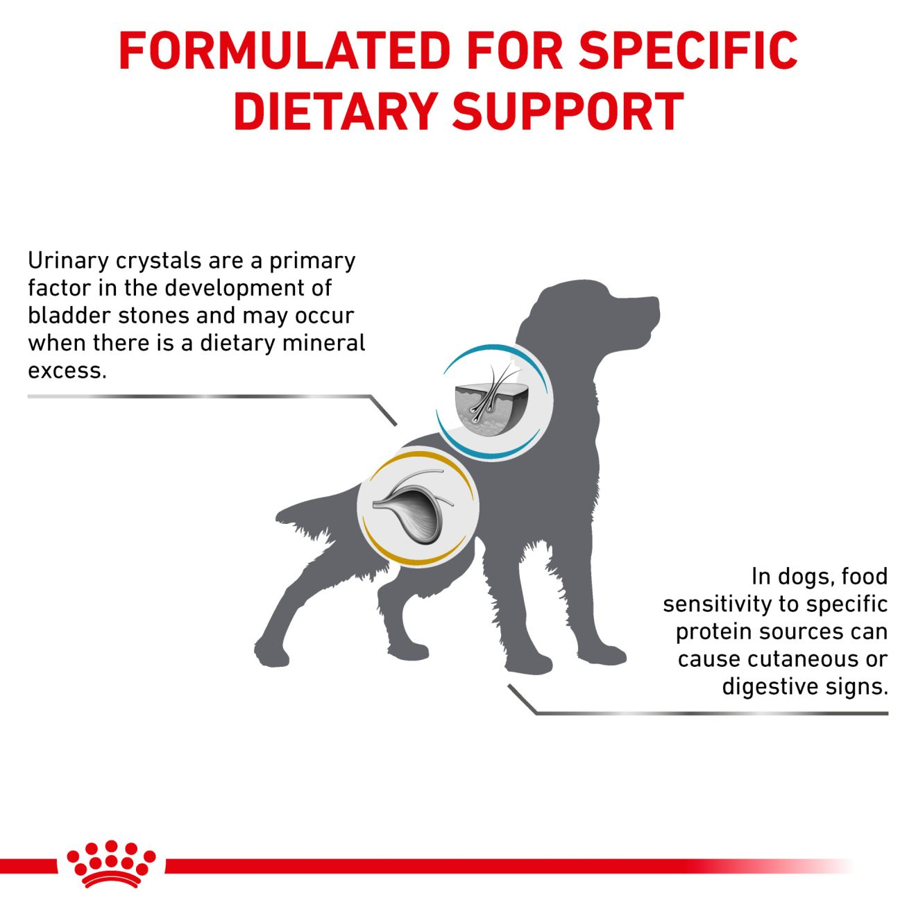 Urinary SO + Hydrolyzed Protein Dog