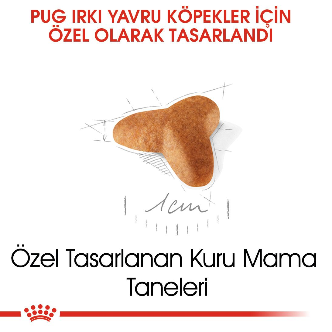Pug Puppy Yavru Köpek Kuru Maması