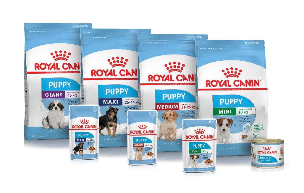 Alimento para cachorros Royal Canin para perros de talla chica, mediana, grande y gigante