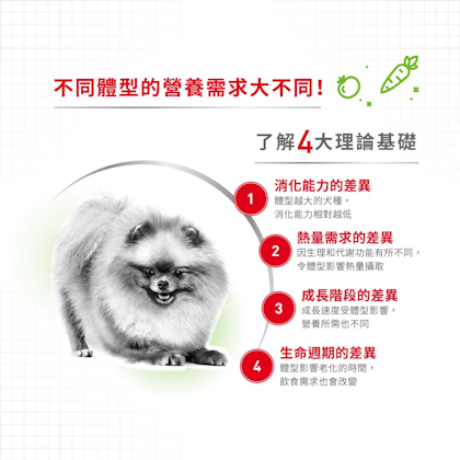 XSA+12_超小型成犬12+營養配方_正方形_HK_02