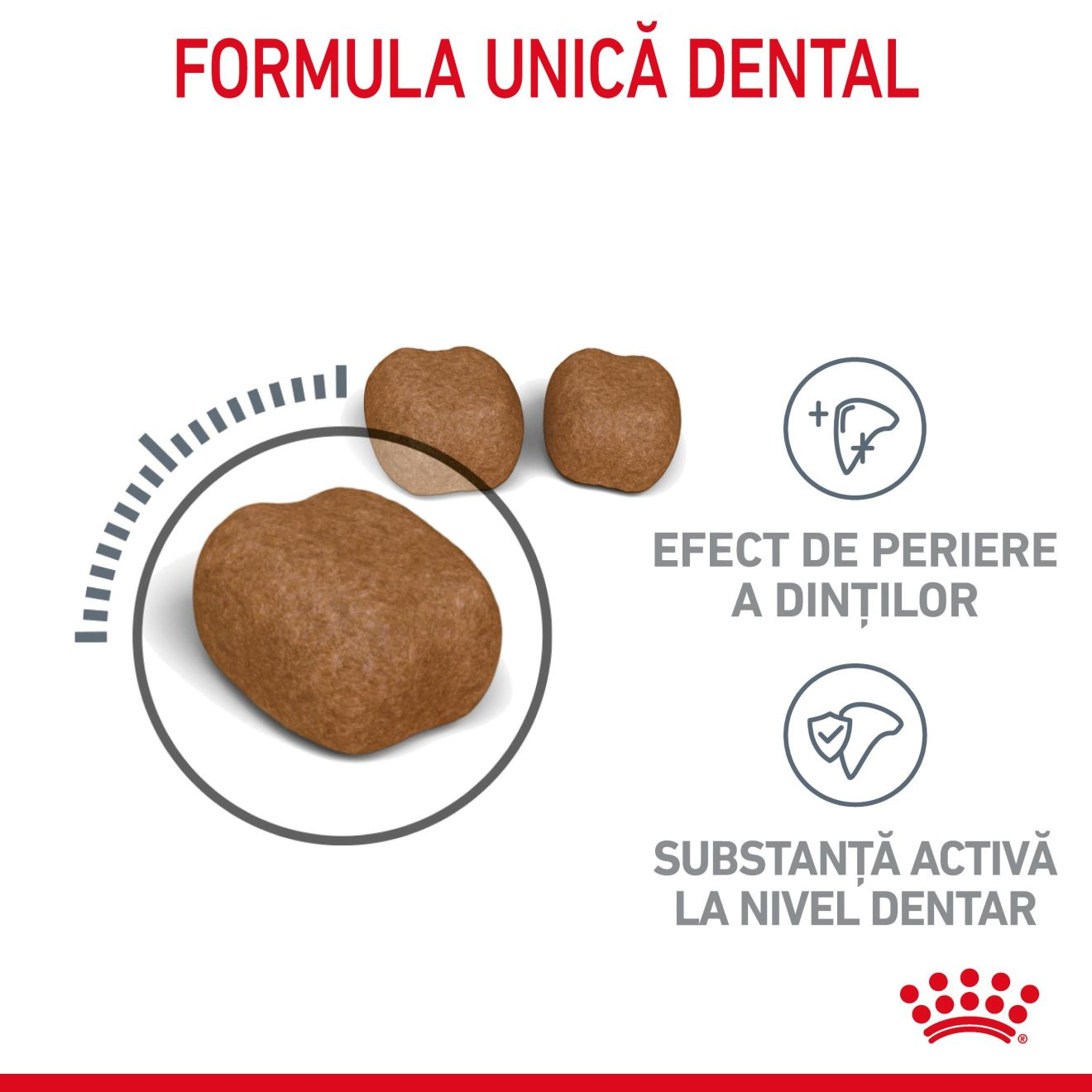 DENTAL CARE