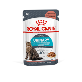 FCN Urinary Care Adult Cat (Gravy)