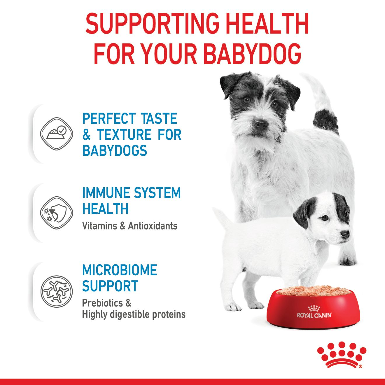 Royal canin store starter mousse australia