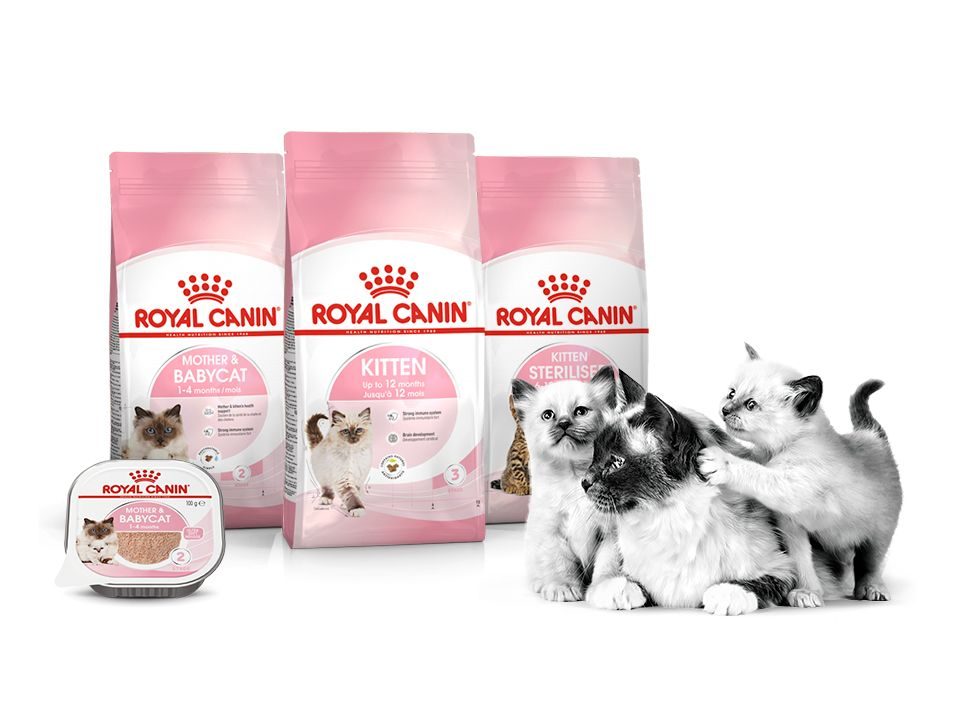 Kitten product range pack shot with black and white cat and kittens