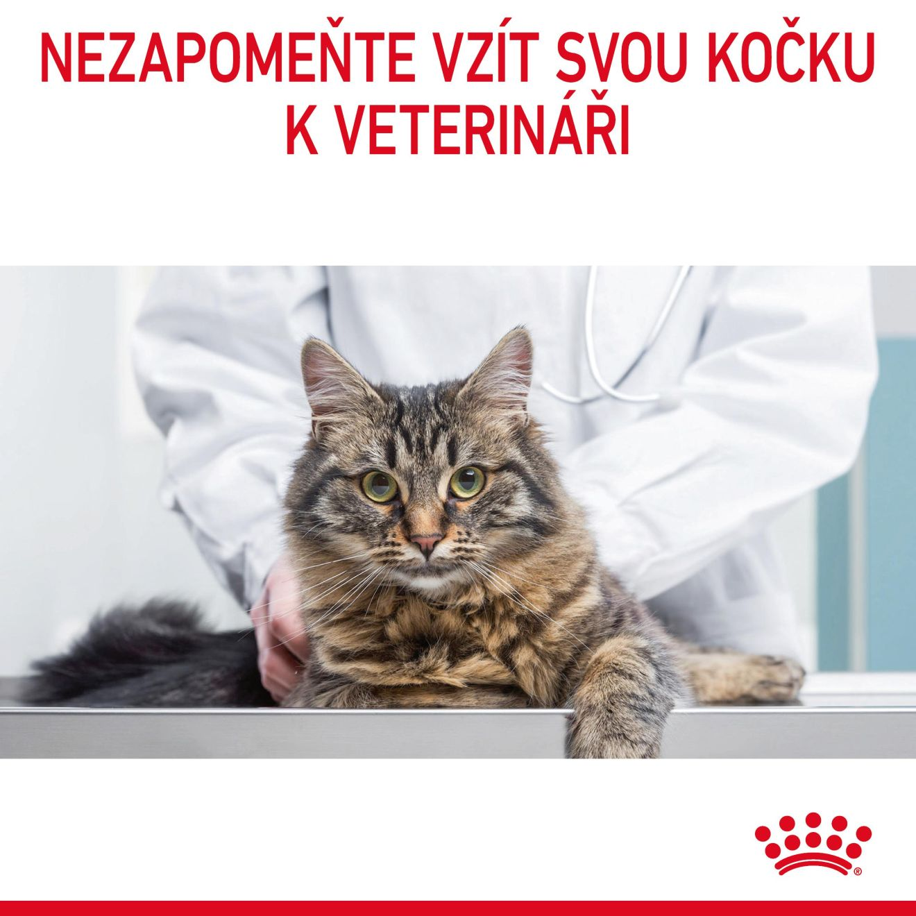 DIGESTIVE CARE 