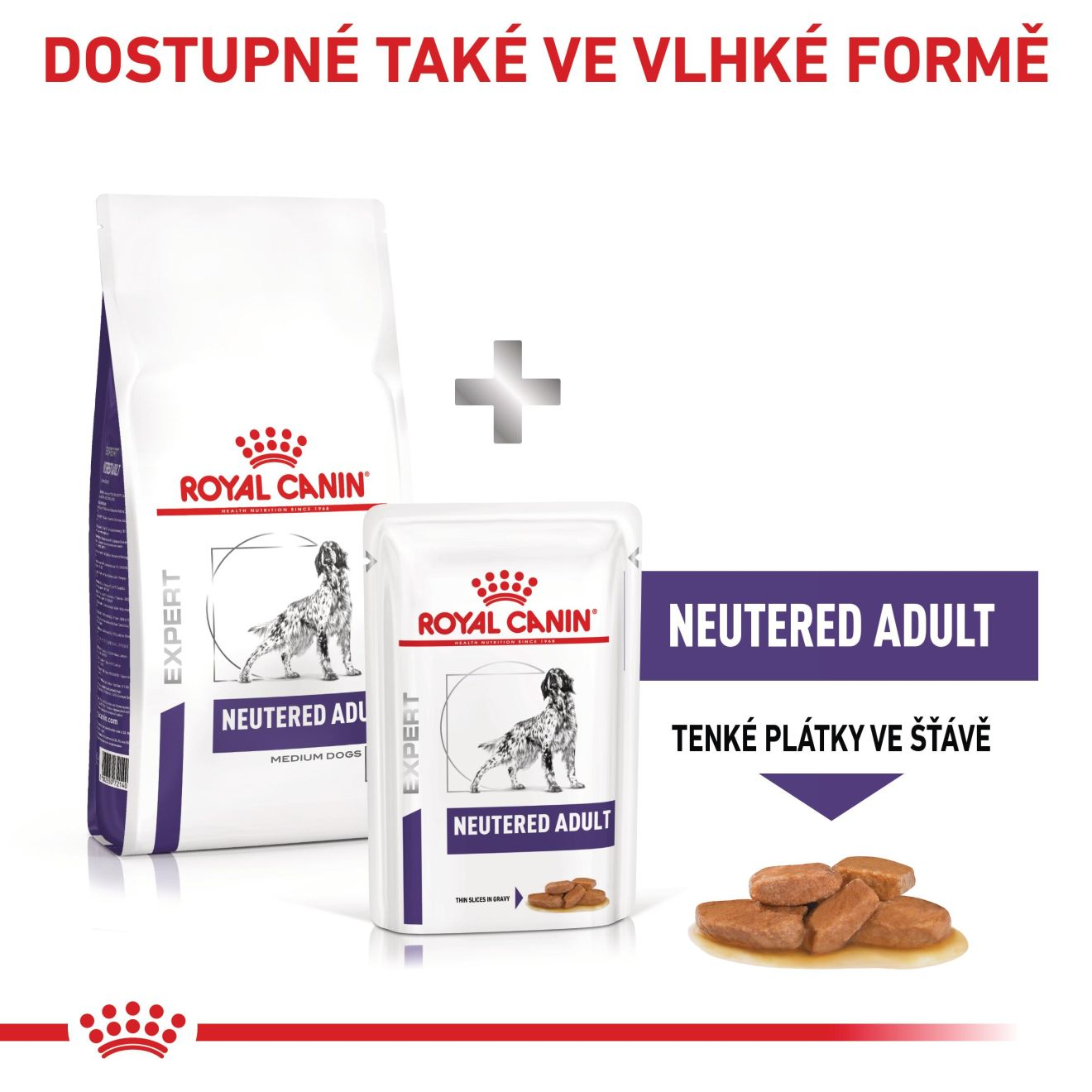VHN Neutered adult medium dog