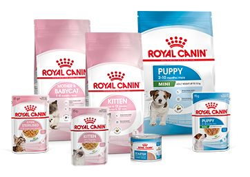 Mini Light Weight Care Royal Canin Turkey