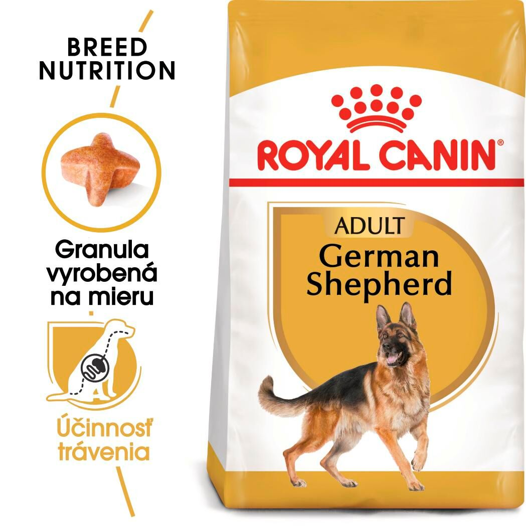 GERMAN SHEPHERD Adult