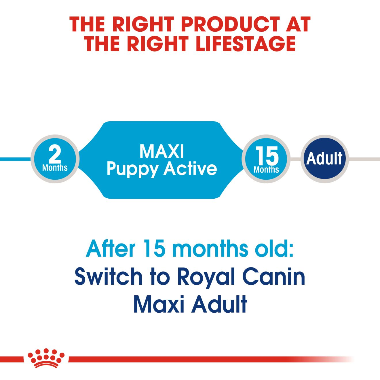 Maxi Puppy Active