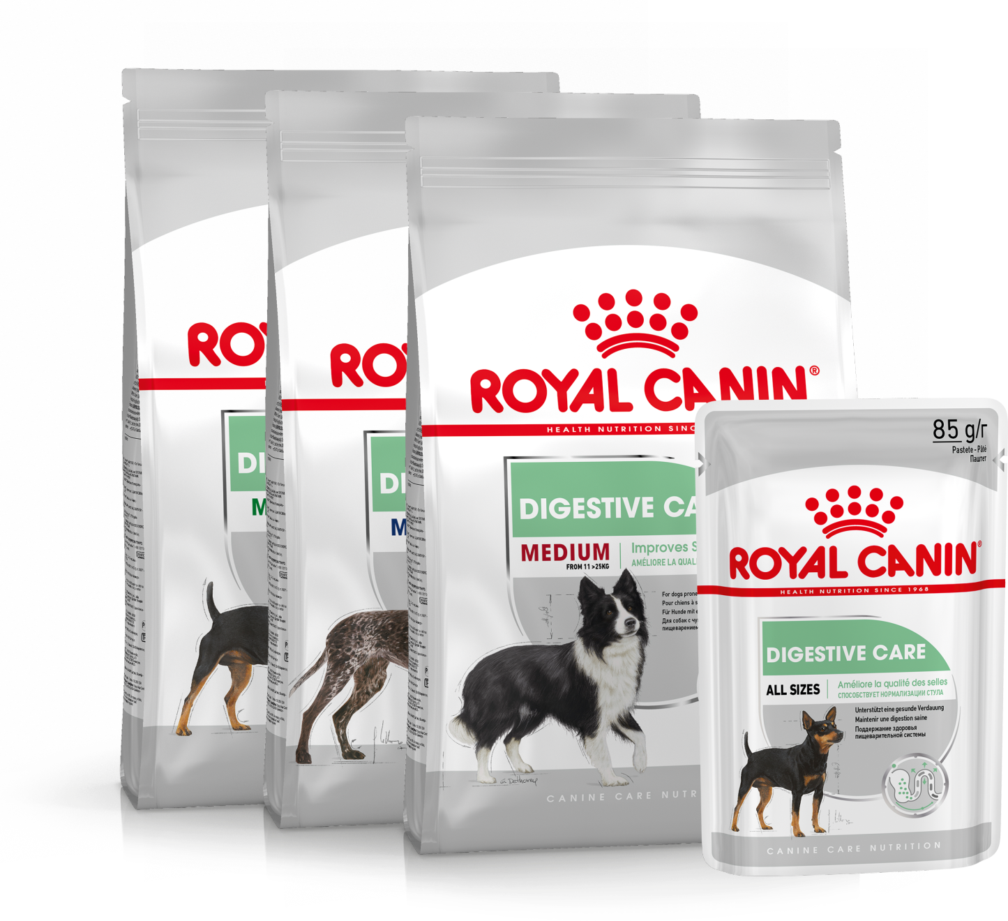 Royal Canin Digestive Care for dogs