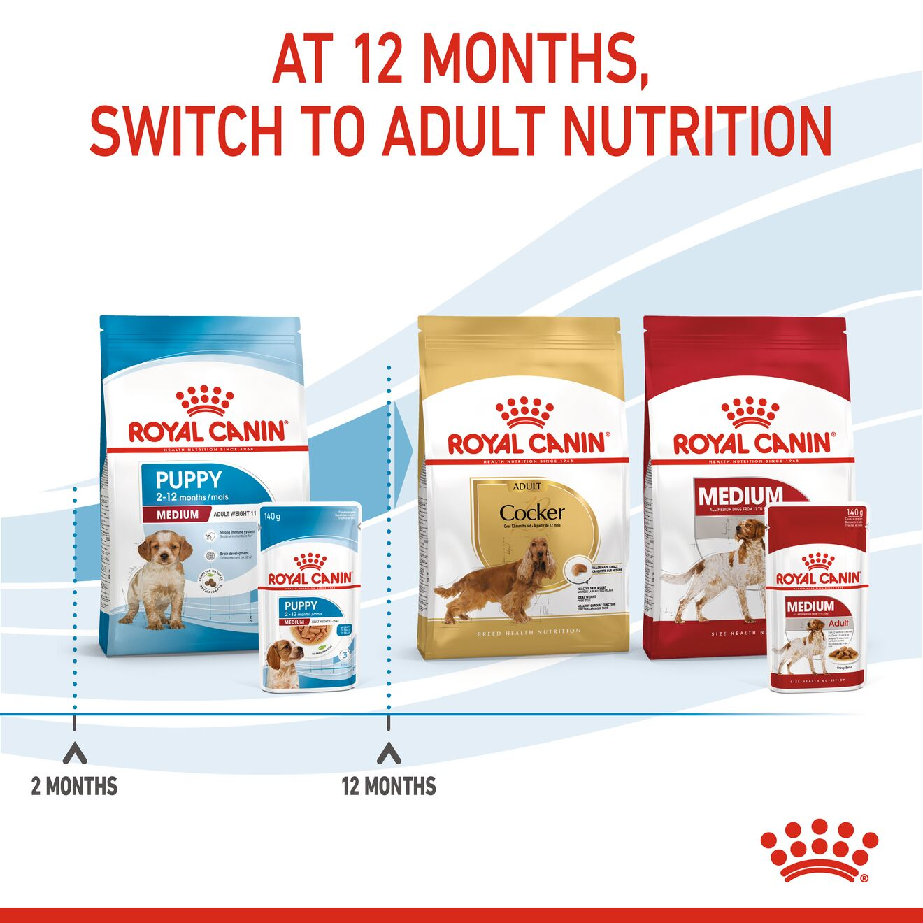 Royal canin medium discount puppy wet food