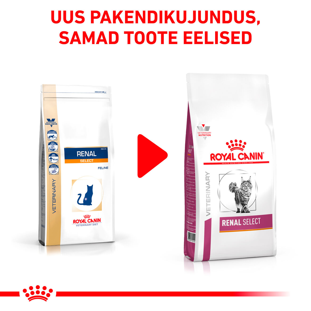 Royal Canin Renal Select Cat kuivtoit