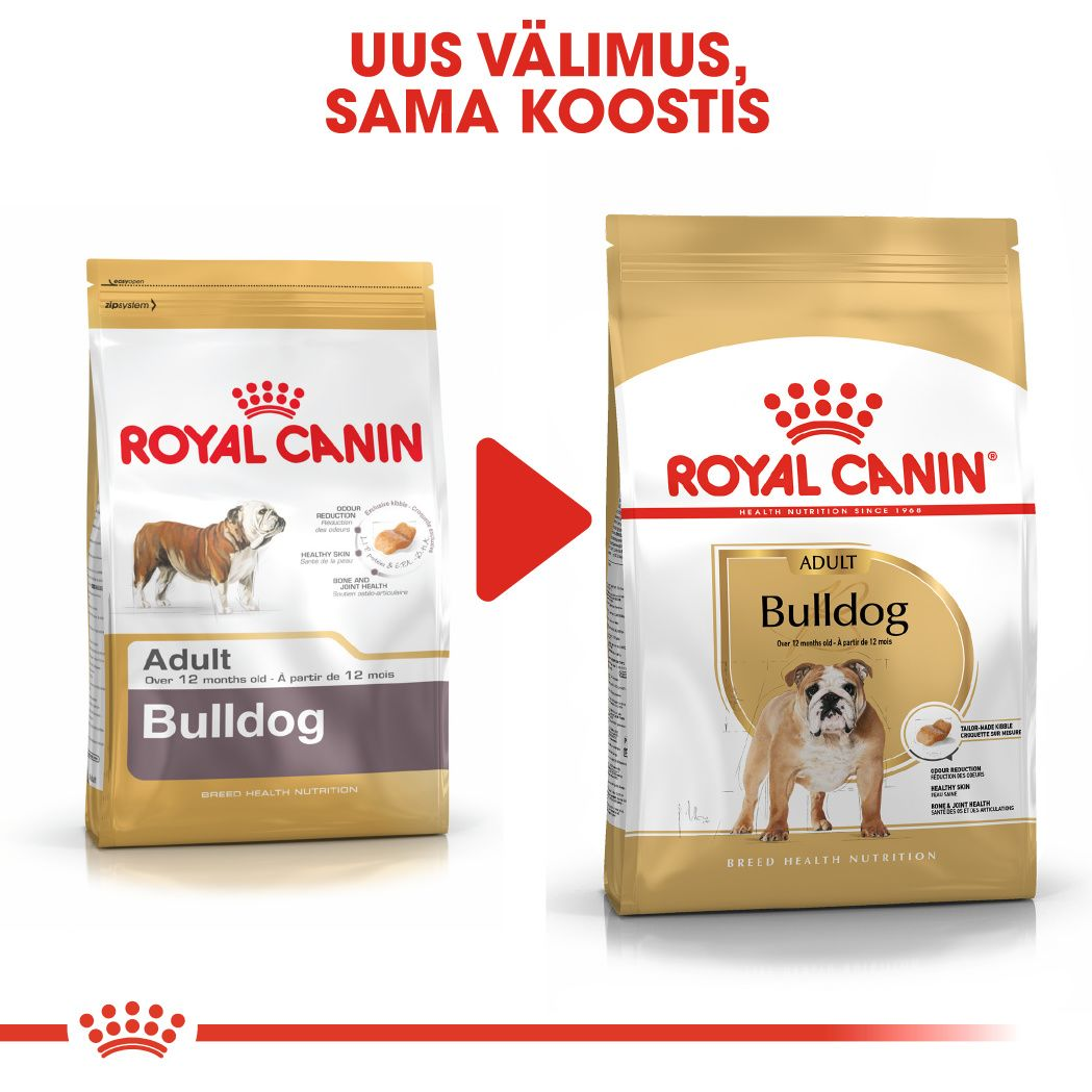 Royal Canin Bulldog Adult kuivtoit