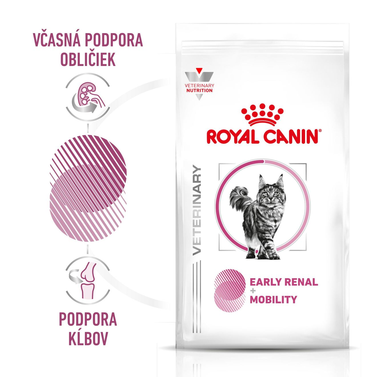 VHN Cat CA Early Renal - Mobility