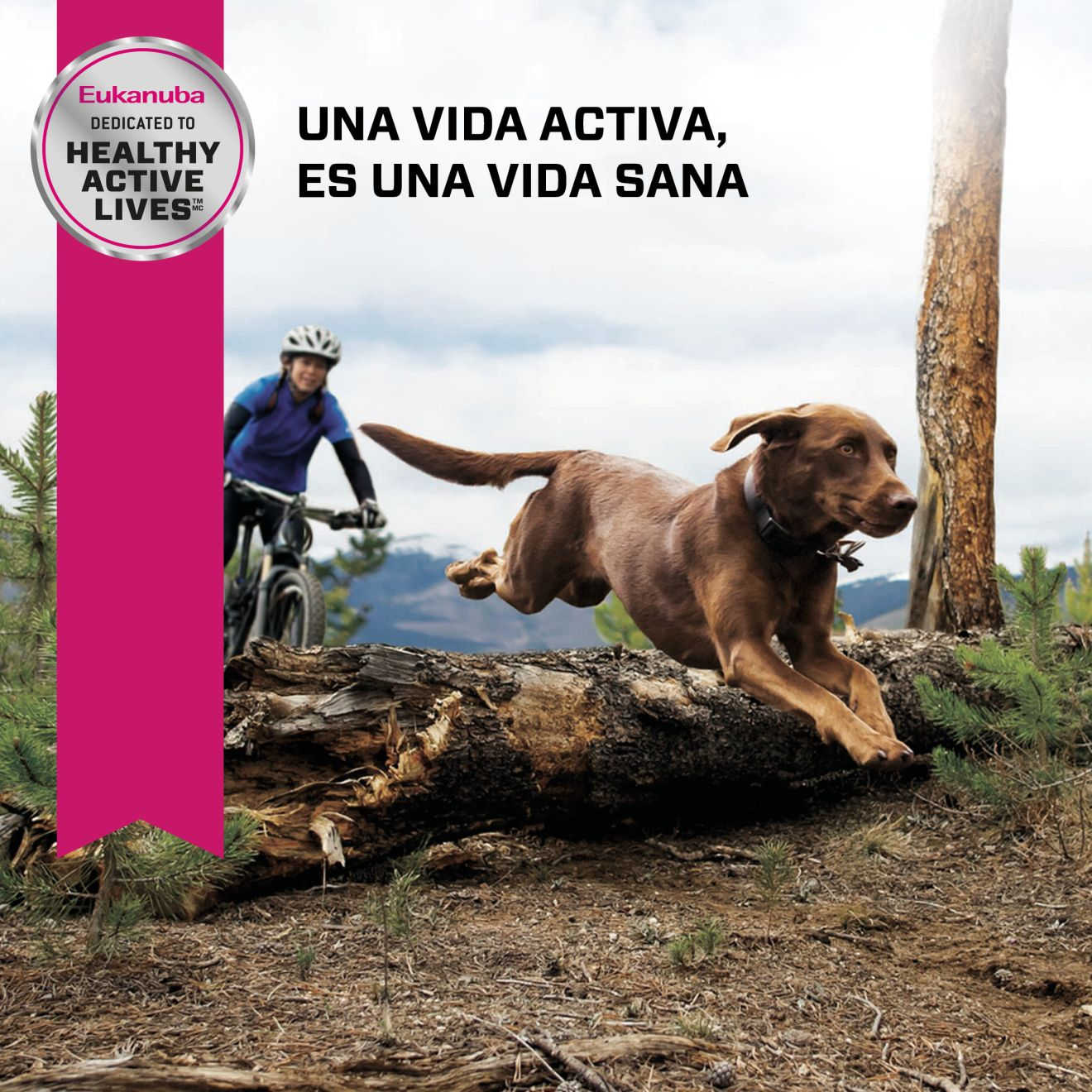 Eukanuba™  ADULT LARGE BREED