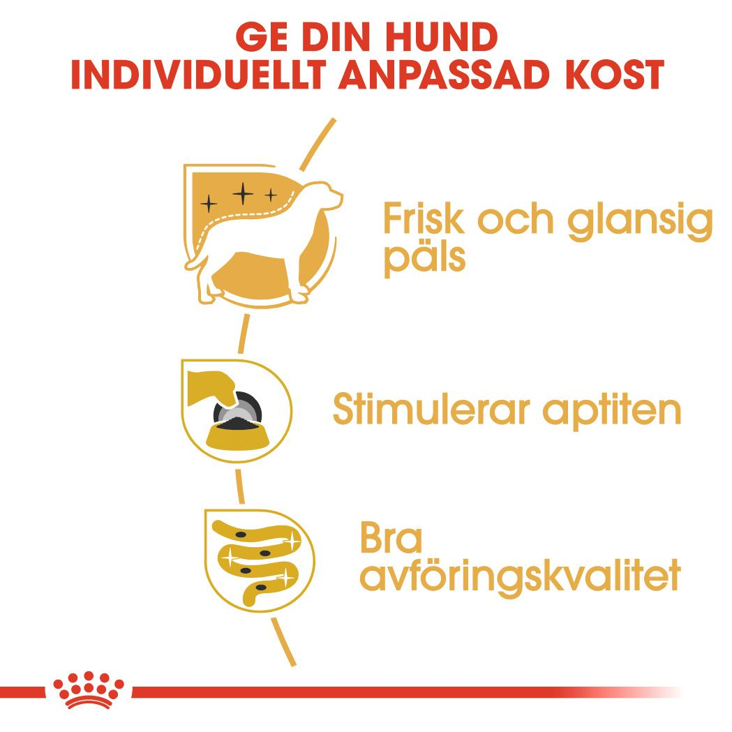 Yorkshire Terrier Adult Loaf