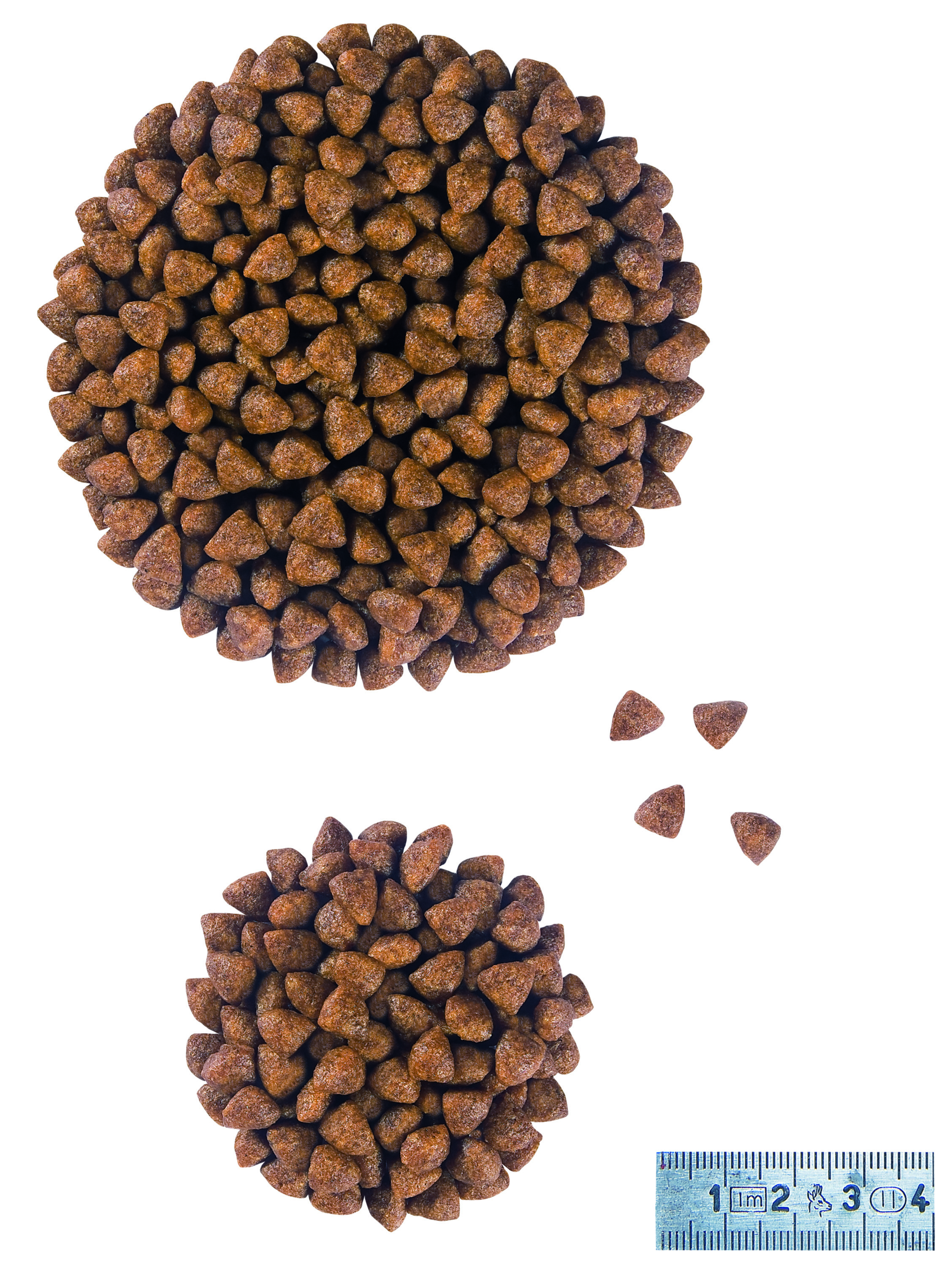 royal canin pediatric starter small dog