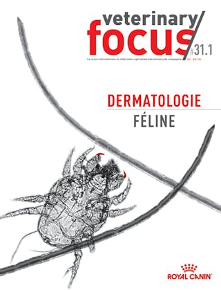 Dermatologie féline