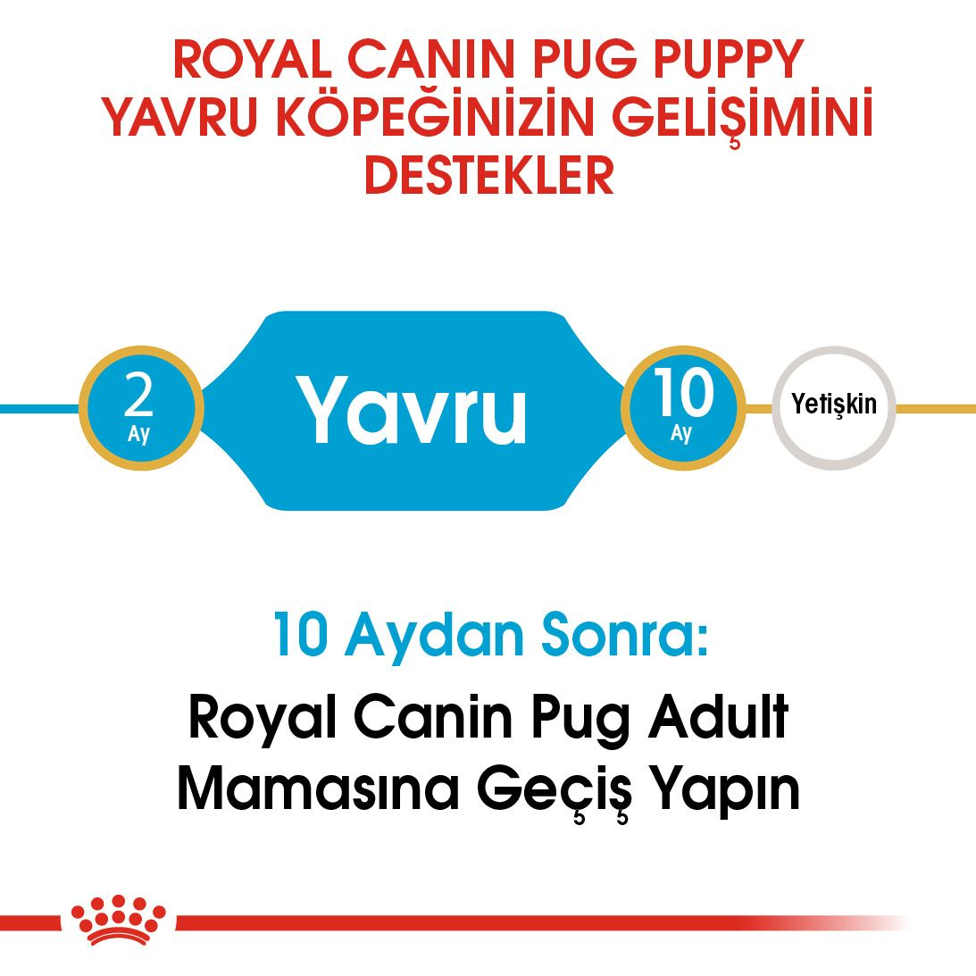 Pug Puppy Yavru Köpek Kuru Maması