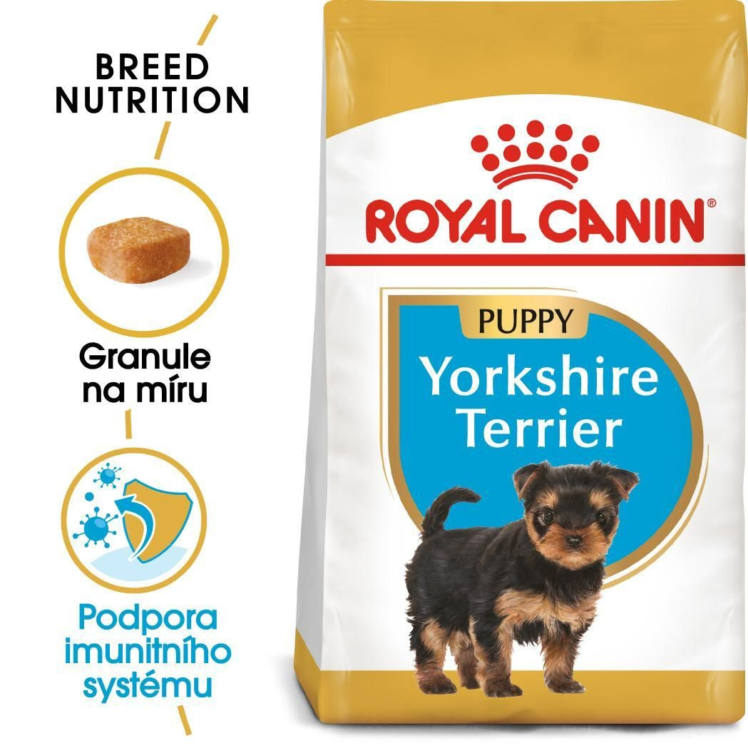 YORKSHIRE TERRIER Puppy