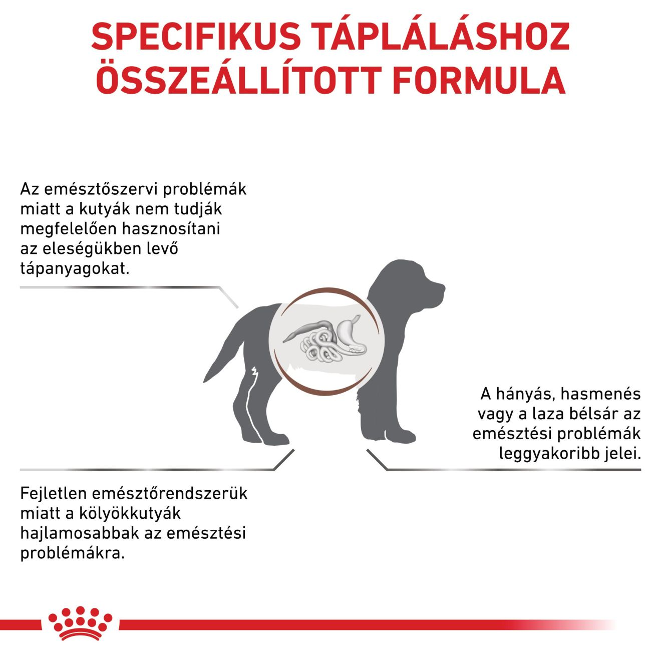 Gastrointestinal Puppy