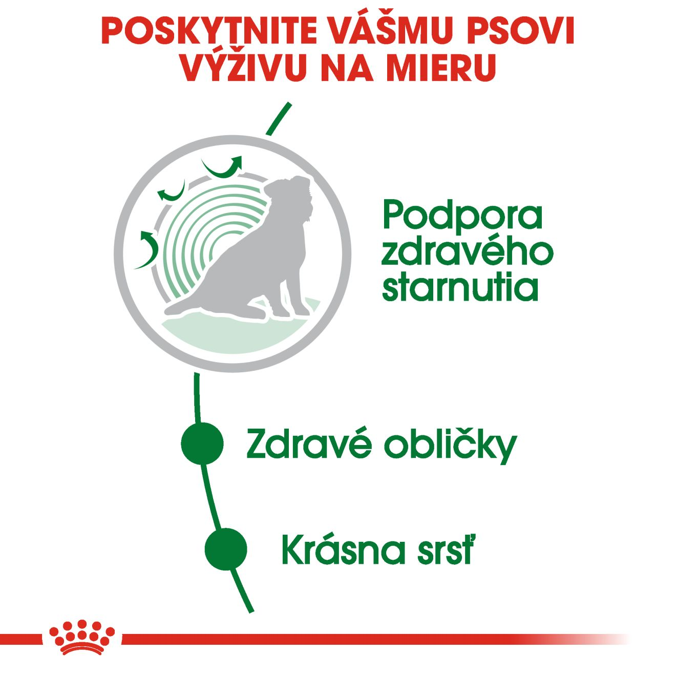 ROYAL CANIN Mini Ageing kapsička v šťave pre staršie psy malých plemien nad 12 rokov