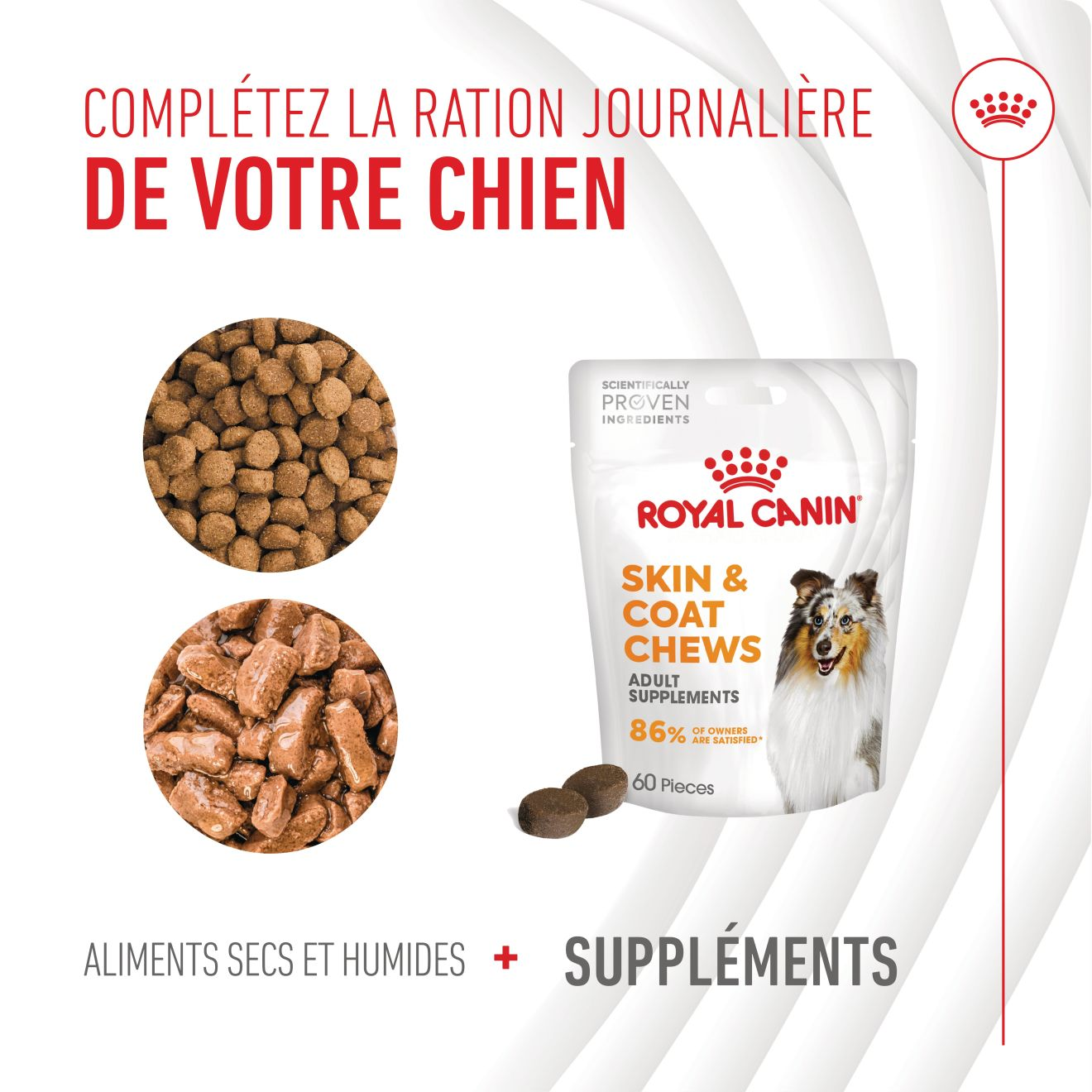 Aliment complémentaire Skin & Coat Chews pour chien