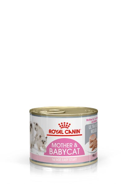 Mother & Babycat Ultra Soft Mousse wet