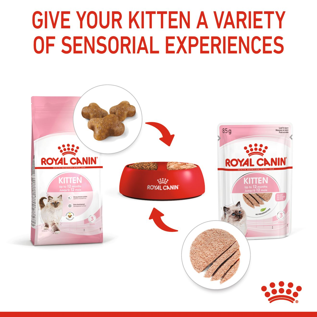 KITTEN Loaf in sauce Royal Canin Indonesia
