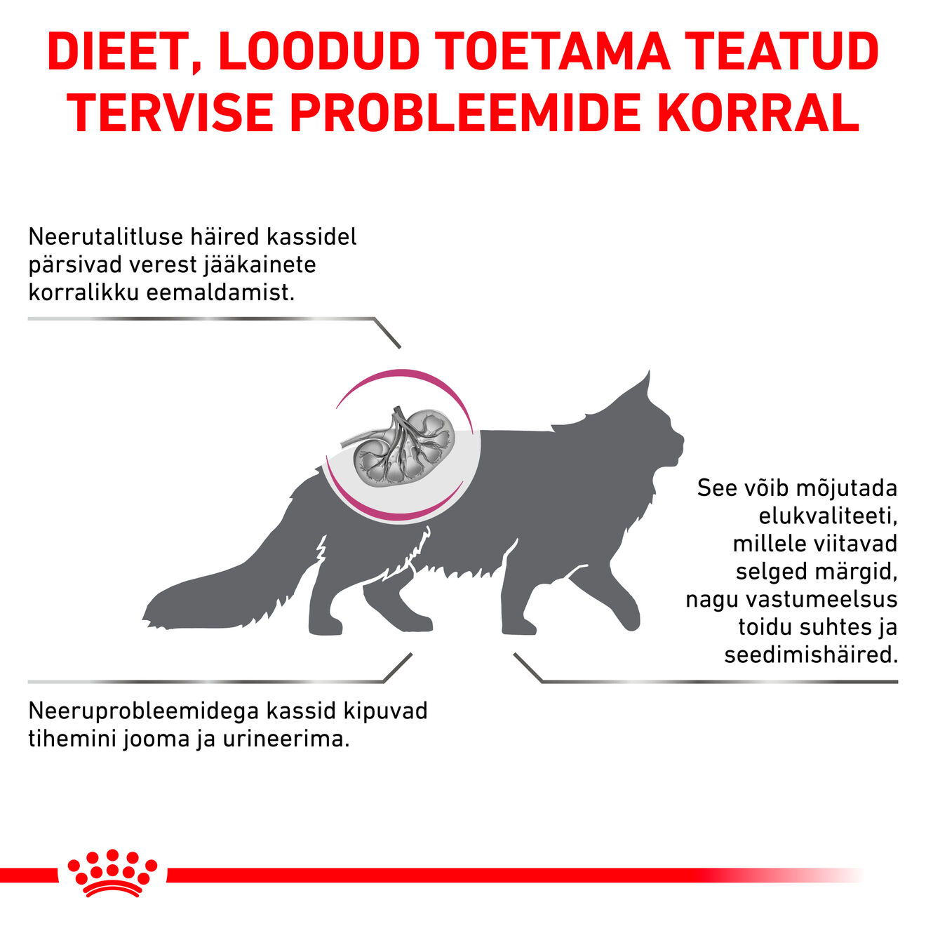 Royal Canin Renal Select Cat kuivtoit