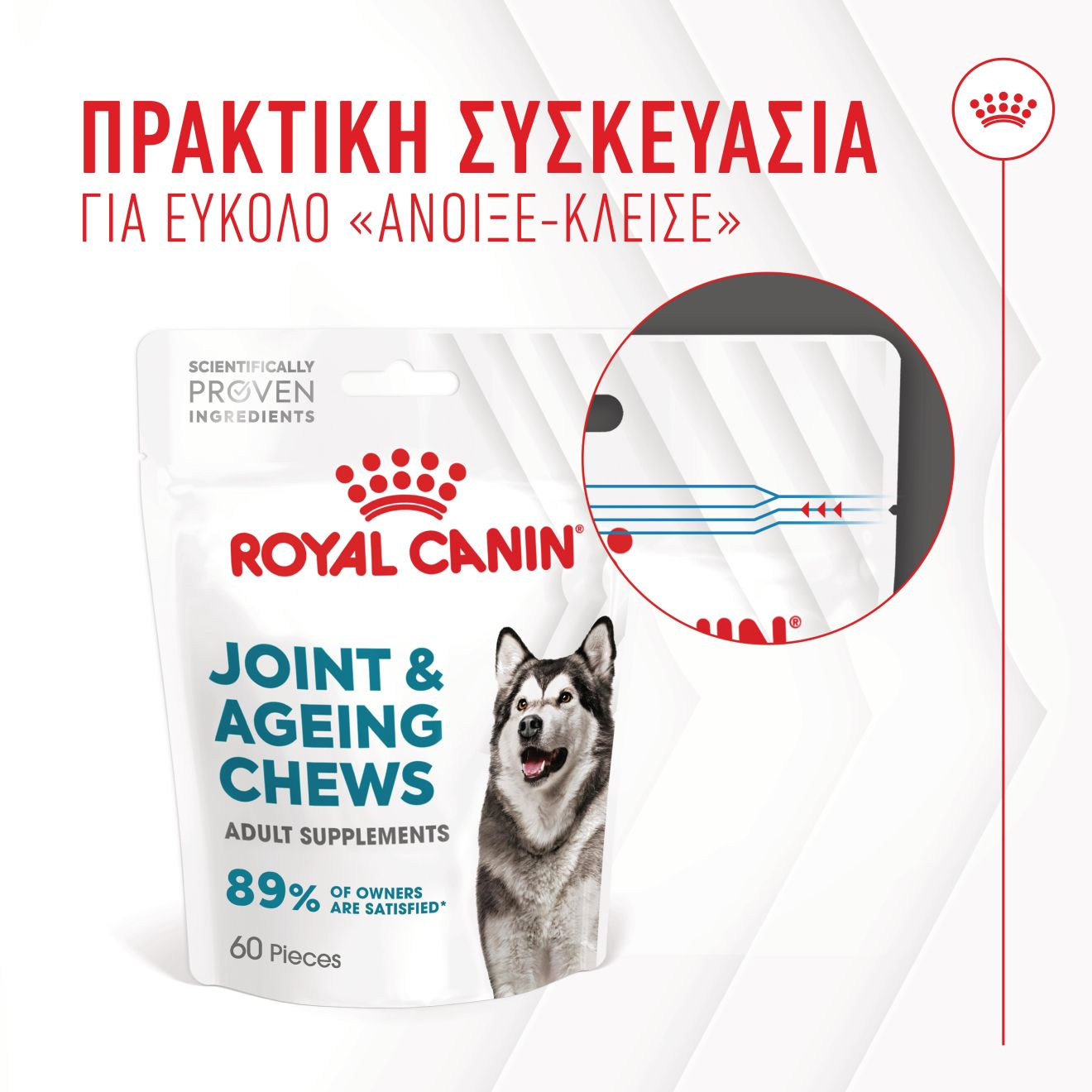 JOINT & AGEING CHEWS