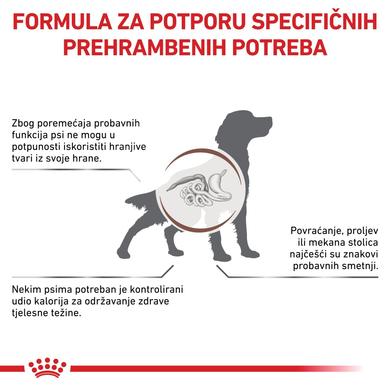 GASTROINTESTINAL MODERATE CALORIE
