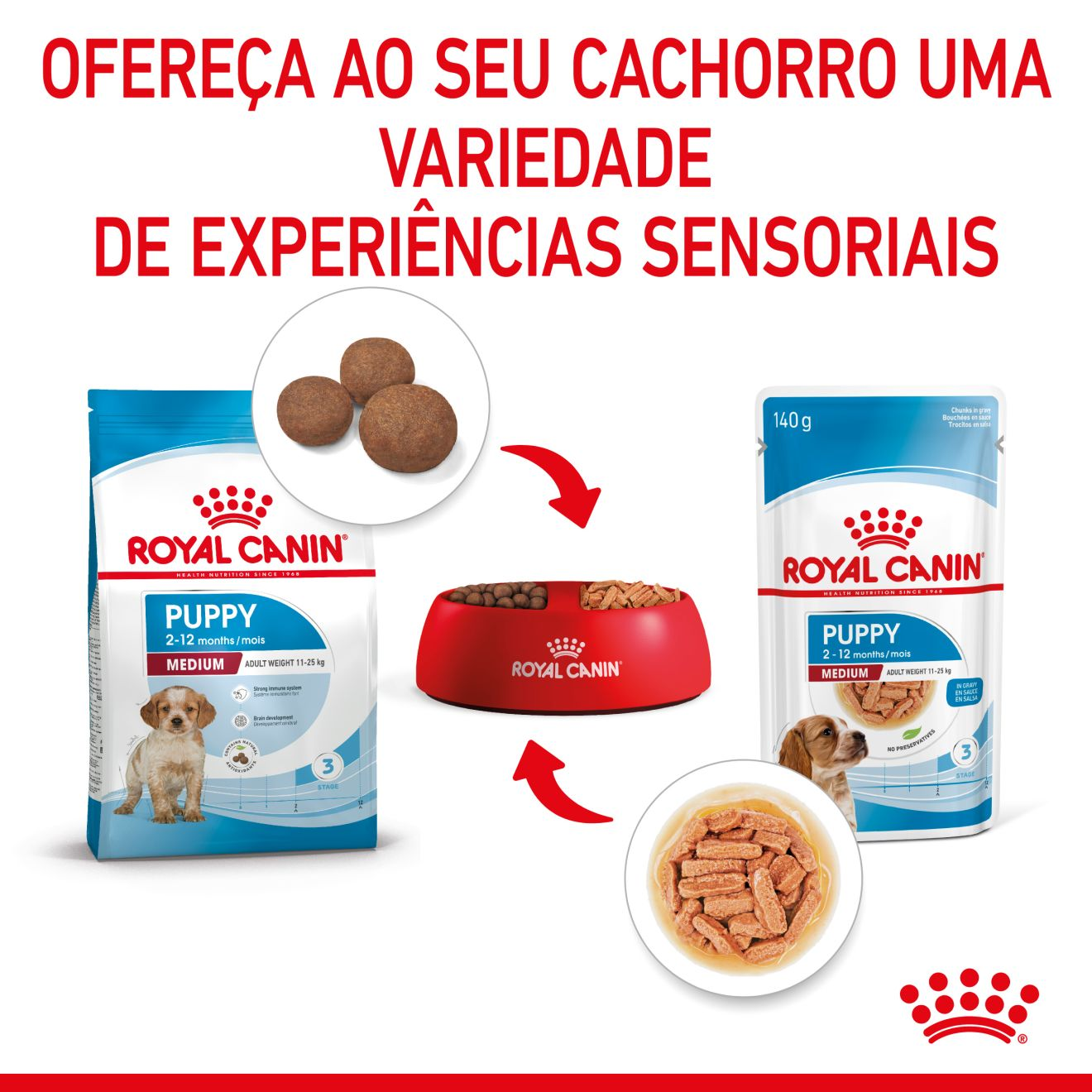 PUPPY - MEDIUM - Chunks in gravy