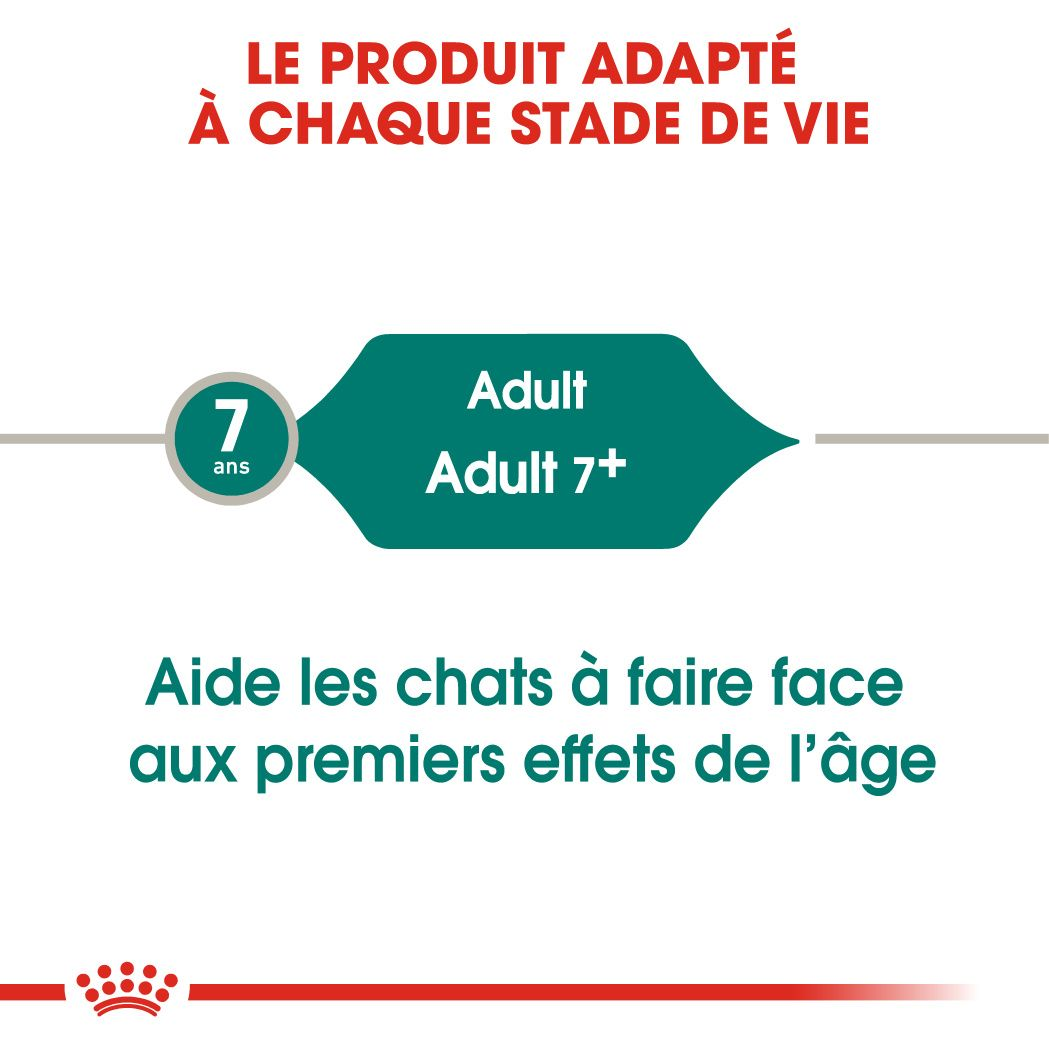 INSTINCTIVE 7+ Gravy