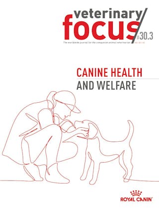 Canine Health and Welfare