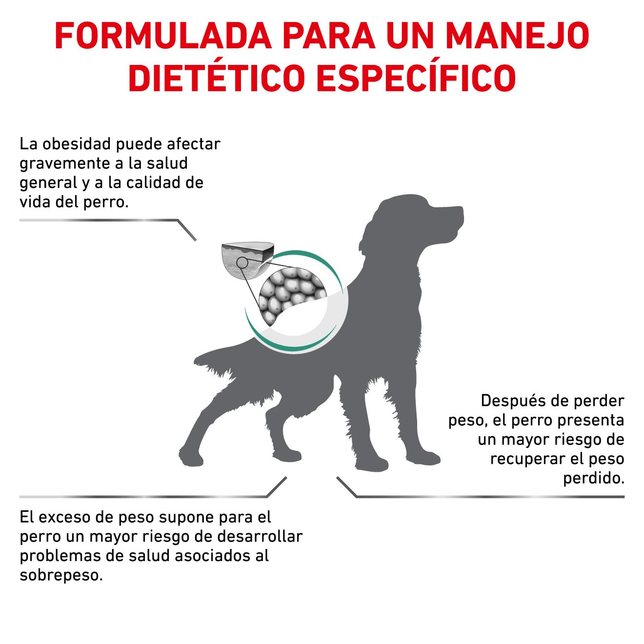 Satiety Weight Management | Royal Canin ES