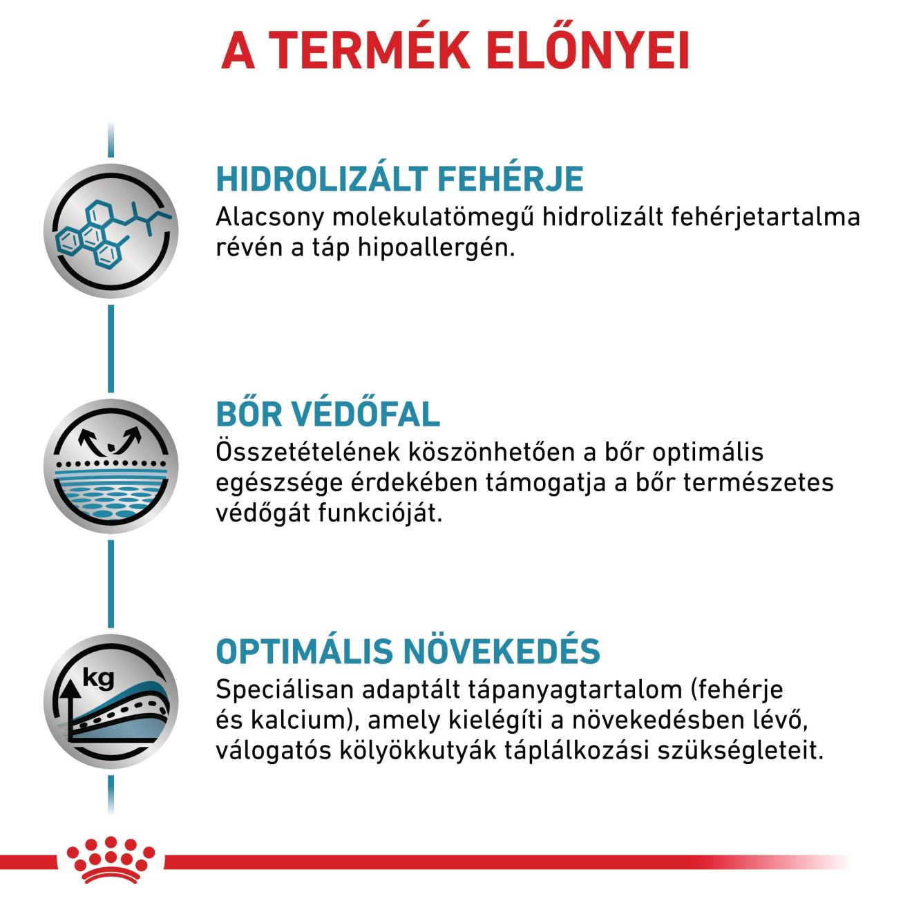 Hypoallergenic Puppy