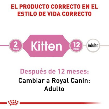 RC-FHN-Kitten-CV-EretailKit-1