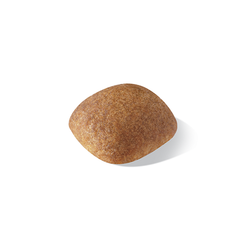 Croqueta gato siamés