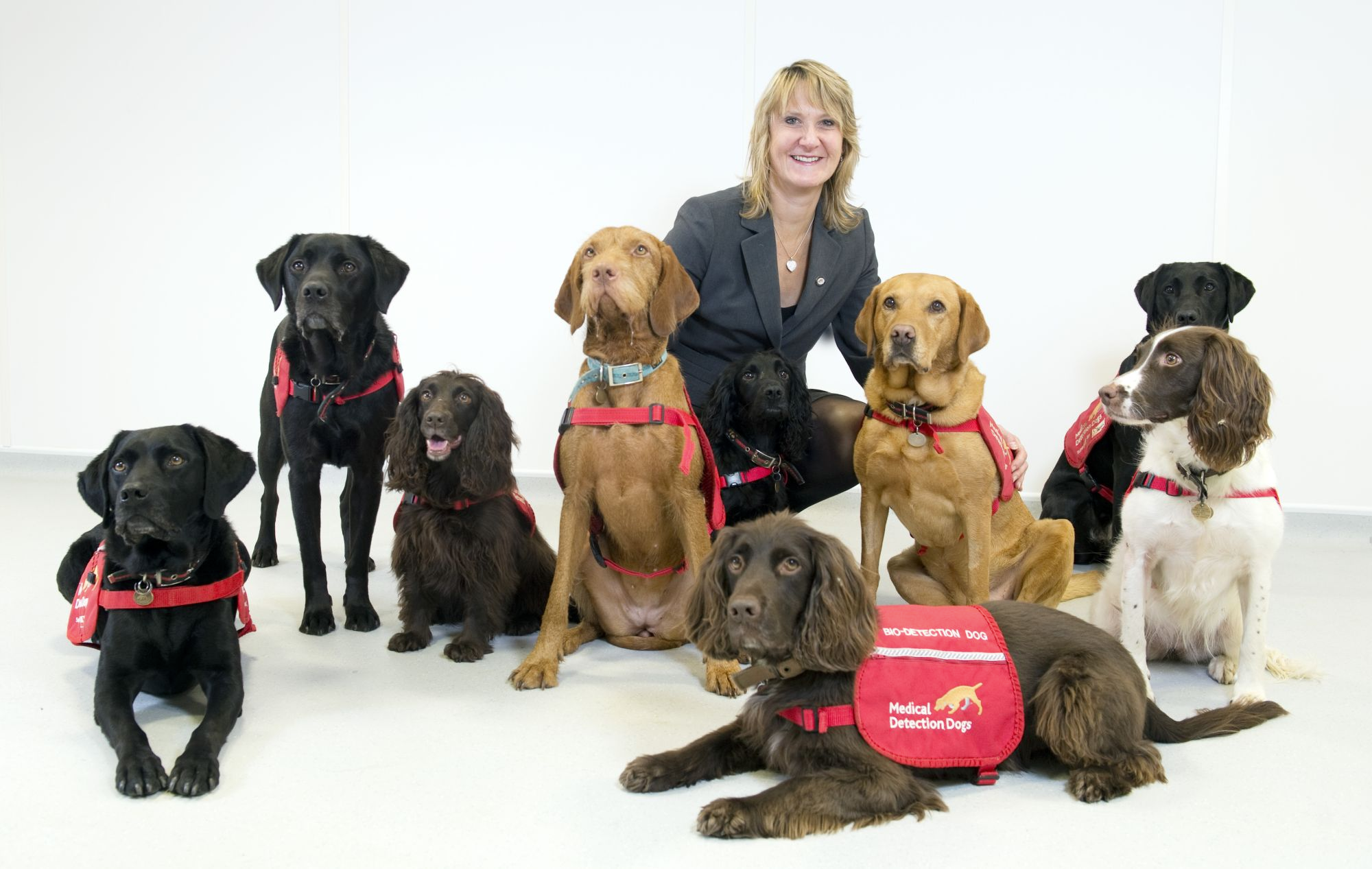 A nose for disease – dogs at the forefront of early disease detection and diagnosis