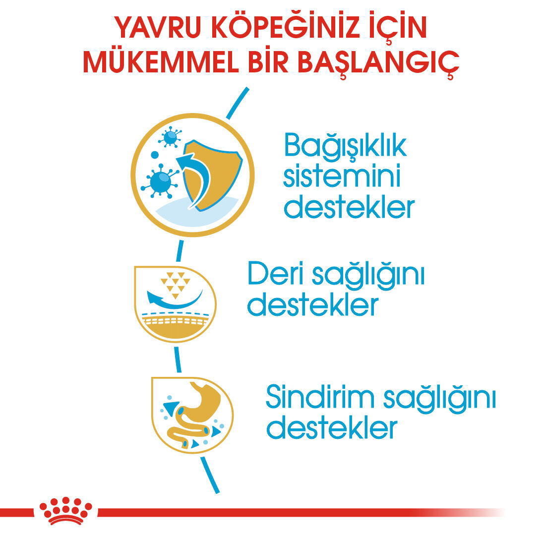 Pug Puppy Yavru Köpek Kuru Maması