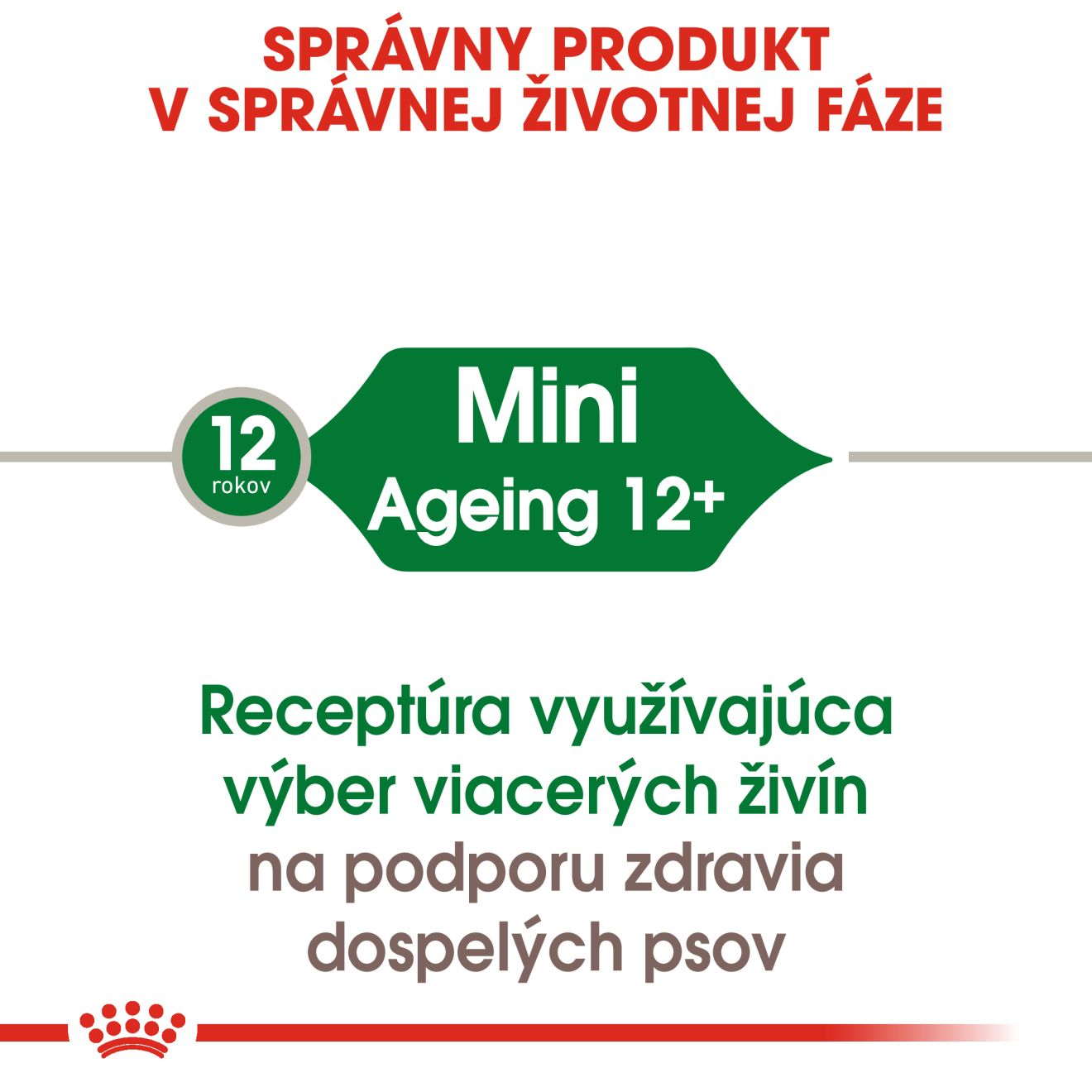 ROYAL CANIN Mini Ageing kapsička v šťave pre staršie psy malých plemien nad 12 rokov