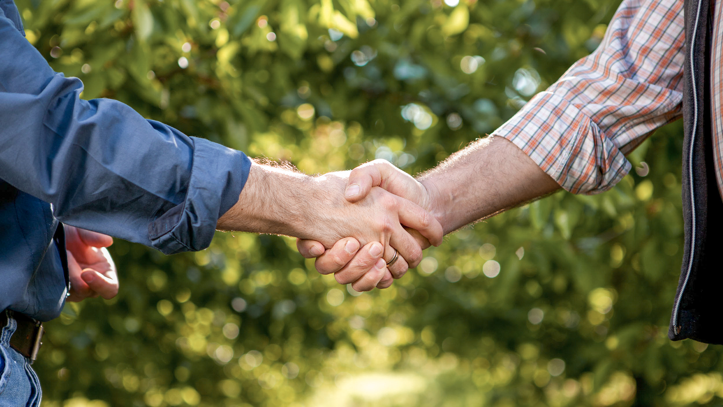 Dois homens a apertar mãos num espaço exterior em frente a culturas verdes