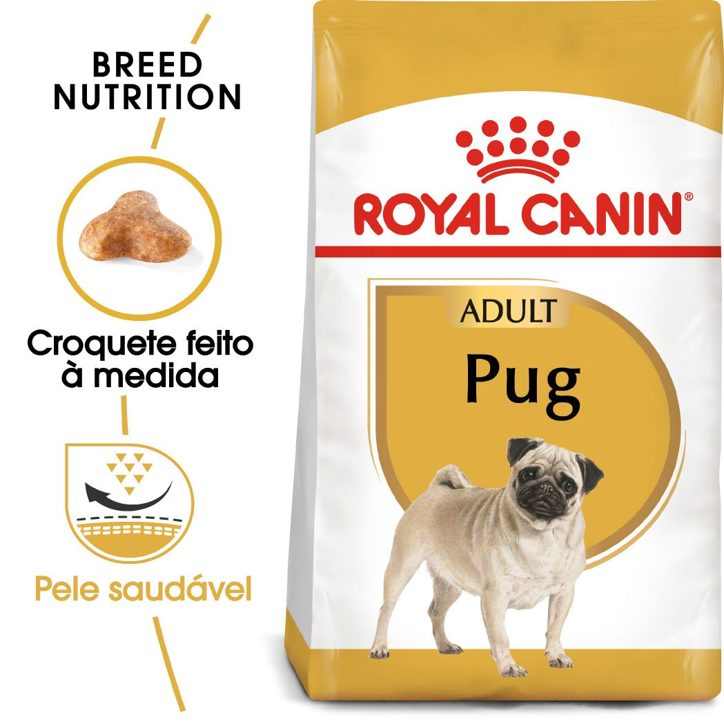 Pug Adult