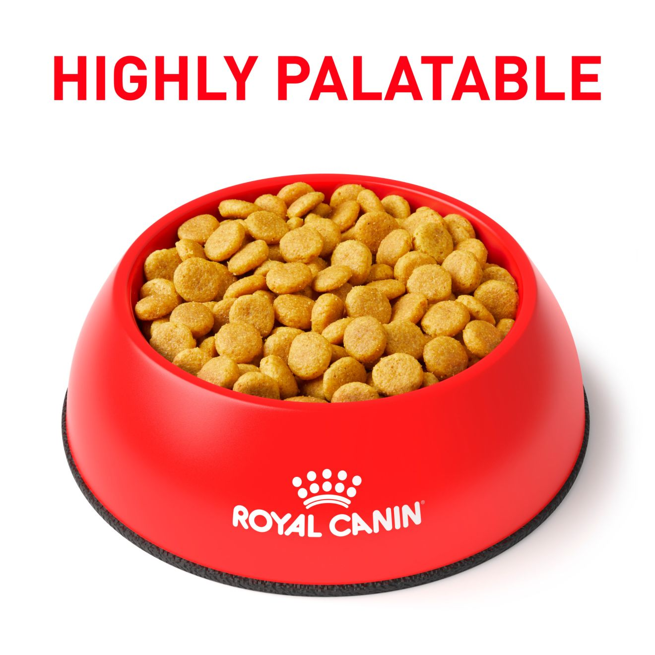 Royal canin low purine hotsell dog food