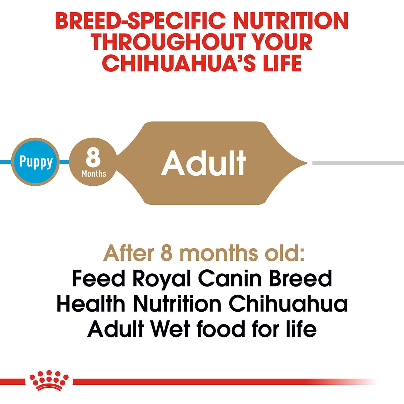 Royal Canin Breed Health Nutrition Chihuahua Adult Canned Dog Food