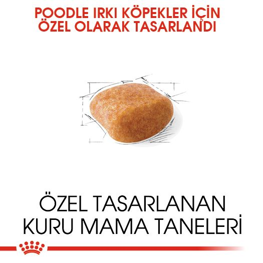 Poodle Adult Yetişkin Köpek Kuru Maması