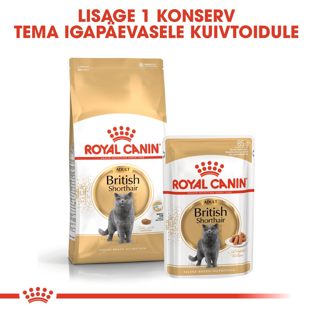 Royal Canin British Shorthair konserv (õhukesed viilud kastmes)