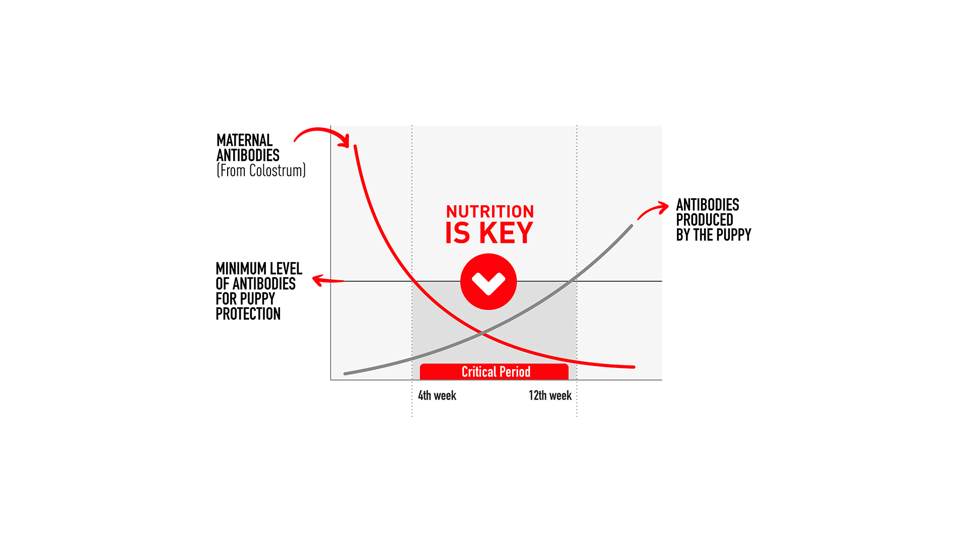 immunity gap